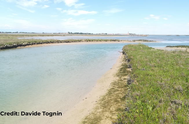Collegamento a The barriers of Mose protect Venice but the system has negative impacts on salt marshes and on the lagoon morphology, a new study shows