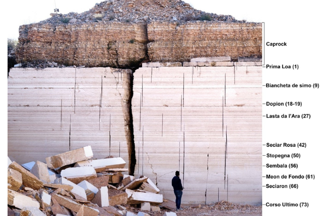 Collegamento a Fossils and Quarrying Activity: The Case Study of the 'lastame' in the Lessini Mountains
