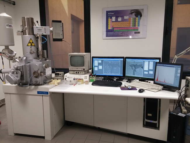 Laboratorio Di Microscopia Elettronica A Scansione Sem Dipartimento