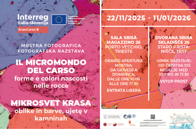 Collegamento a “Il Micromondo del Carso”: a Trieste una mostra per scoprire forme e colori nascosti nelle rocce / „Mikrosvet Krasa”: v Trstu razstava za odkrivanje skritih oblik in barv v kamninah