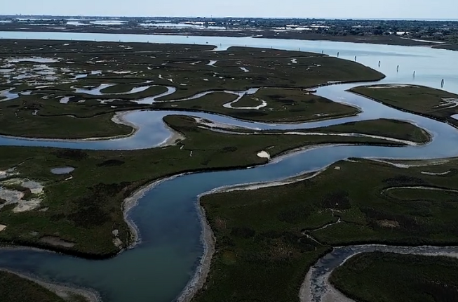 Collegamento a Laguna di Venezia: le barene tra conservazione del carbonio e sfide della gestione costiera